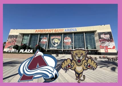 Panthers avalanche