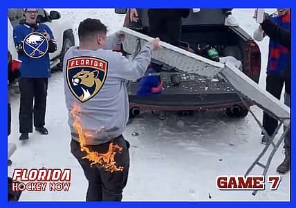 Panthers sabres