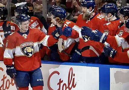 Florida panthers