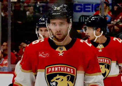 Balinskis panthers