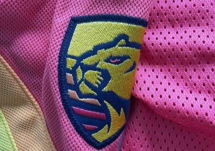 Florida panthers pink jersey