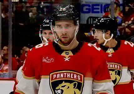Balinskis panthers