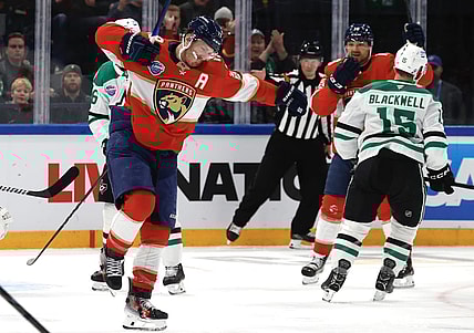 Florida panthers