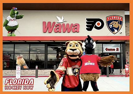 Panthers flyers