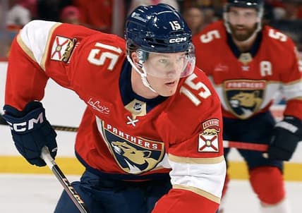 Florida panthers