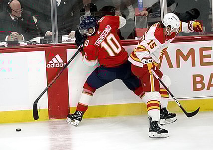 Florida Panthers Vladimir Tarasenko