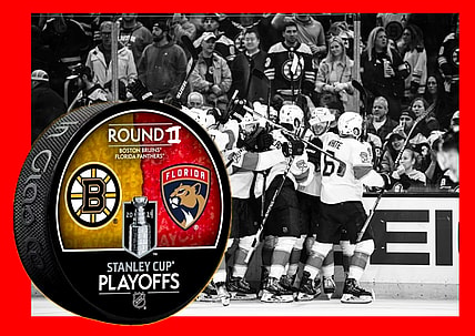 Panthers bruins