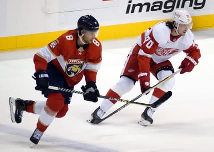 Florida panthers