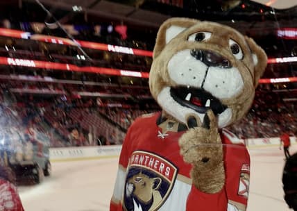 Florida panthers