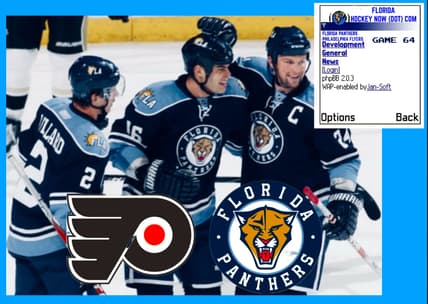 Panthers flyers