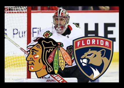 Panthers blackhawks