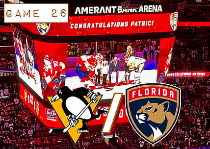 Panthers penguins