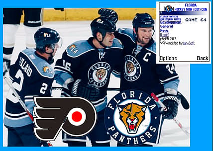 Panthers flyers