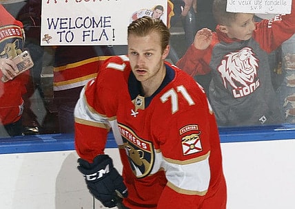 Florida panthers lucas wallmark