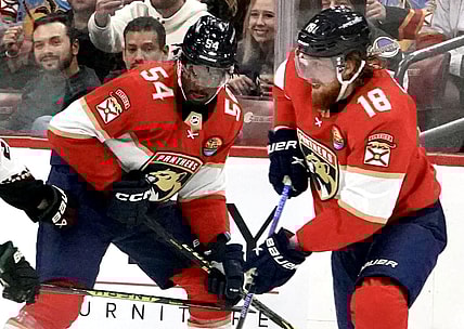 Florida panthers