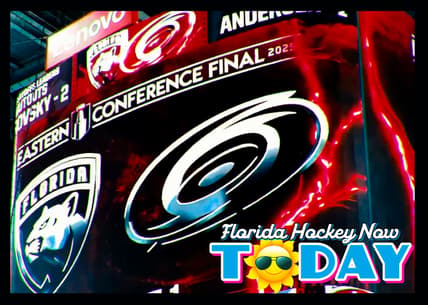 Panthers hurricanes