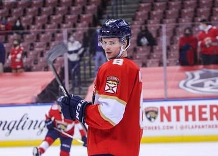 Capitals panthers