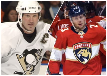 Florida panthers
