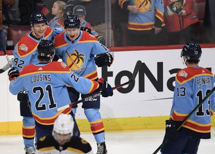 Florida panthers