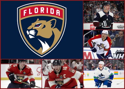 Florida panthers