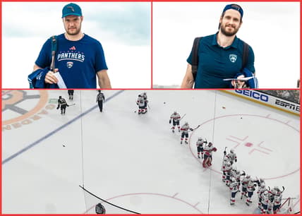 Florida panthers