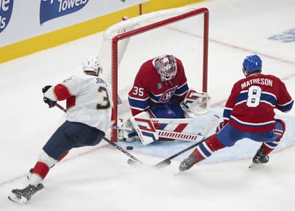 Florida panthers