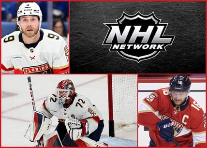 Florida panthers nhl