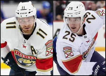 Florida panthers