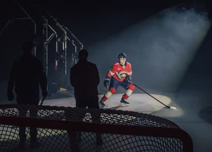 Florida panthers