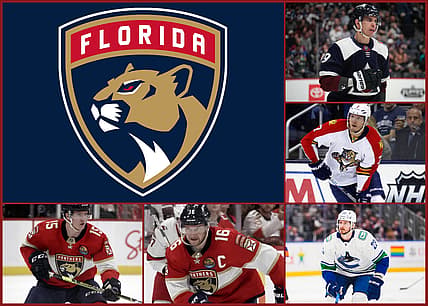 Florida panthers