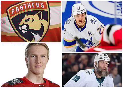 Florida panthers new