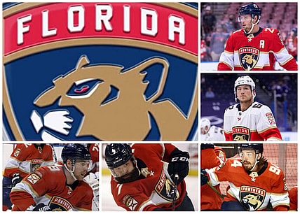 Florida panthers covid
