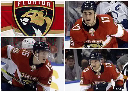 Florida panthers