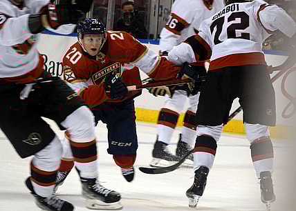 Florida panthers heponiemi