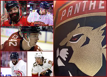 Panthers free agency