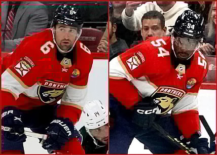 Florida Panthers