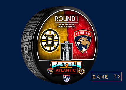 Panthers bruins