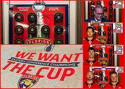 Florida panthers