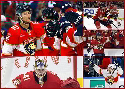 Panthers free agency