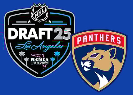 Panthers draft