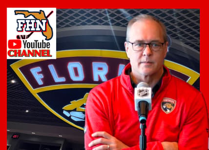 Florida panthers