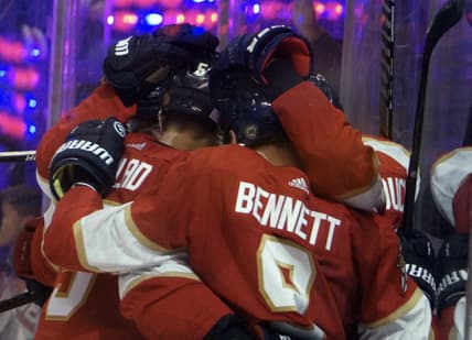 Canadiens panthers