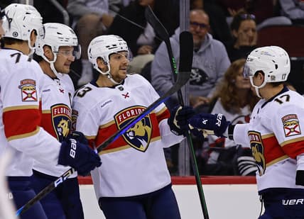 Barkov reinhart