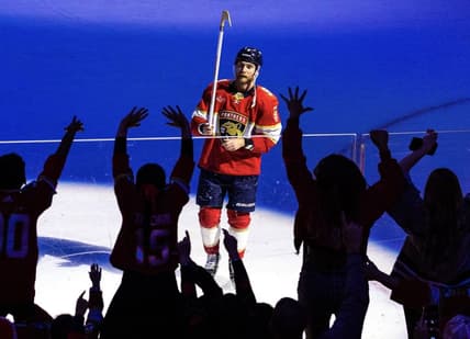 Florida panthers