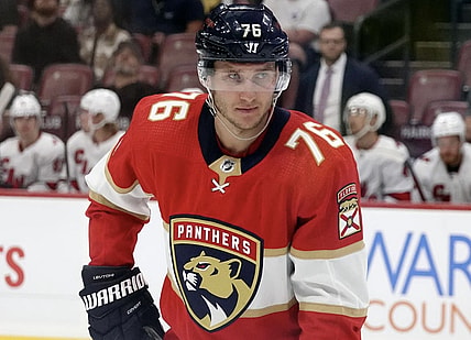Florida panthers