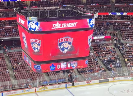 Florida panthers