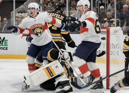 Florida panthers