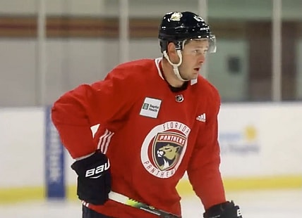 Hoffman dadonov free panthers