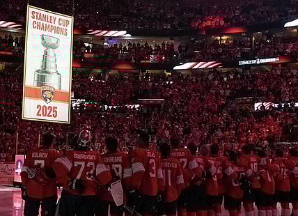 Panthers cup banner