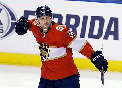 Florida panthers